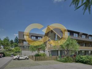 Prodej bytu 2+kk, Nové Hutě, 40 m2