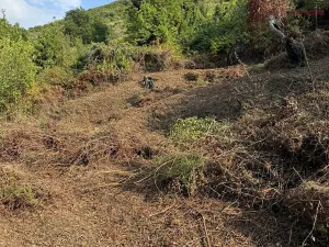 Prodej rodinného domu, Pace del Mela, Itálie, 107 m2