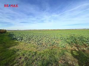 Prodej pozemku pro bydlení, Chrast, Dukelská, 4084 m2