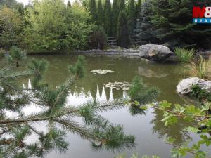 Prodej pozemku pro bydlení, Nižbor - Žloukovice, 2251 m2