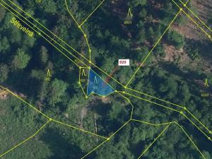 Dražba lesa, Jílové u Držkova, 151 m2