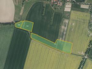 Prodej lesa, Radhošť, 14611 m2