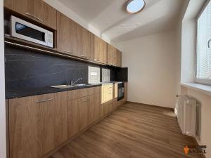 Pronájem bytu 2+1, Havířov, Dělnická, 48 m2