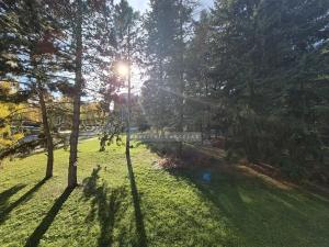 Pronájem bytu 1+1, Brno, 28 m2