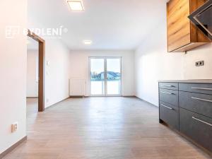 Pronájem bytu 2+kk, Teplice, Novoveská, 47 m2