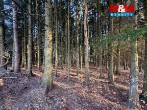 Prodej lesa, Městečko Trnávka - Stará Roveň, 81768 m2