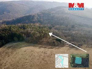 Prodej lesa, Městečko Trnávka - Stará Roveň, 81768 m2