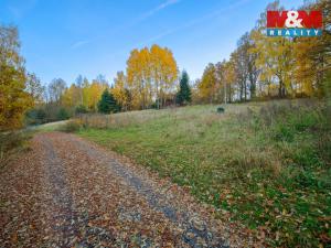 Prodej pozemku pro bydlení, Vlašim - Nesperská Lhota, 2010 m2