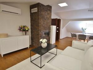 Pronájem bytu 4+kk, Brno, Ríšova, 118 m2