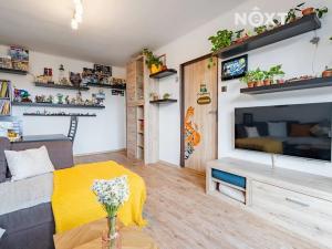 Prodej bytu 3+1, České Budějovice, Lidická tř., 60 m2