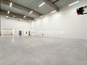 Pronájem výrobních prostor, Brno, Vinohradská, 446 m2