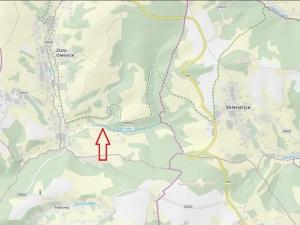 Prodej pozemku, Zlatá Olešnice, 251 m2