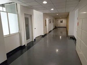 Pronájem kanceláře, Praha - Nové Město, Opletalova, 33 m2