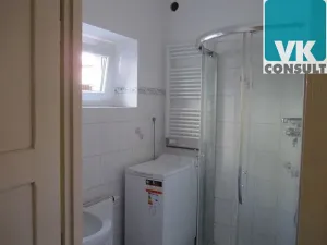 Pronájem bytu 1+kk, Morašice, 42 m2