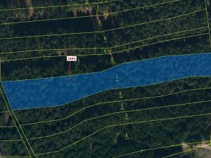 Dražba lesa, Žirovnice, 5755 m2