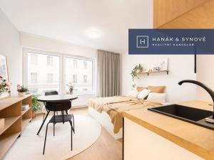 Pronájem bytu 1+kk, Brno, Cejl, 31 m2