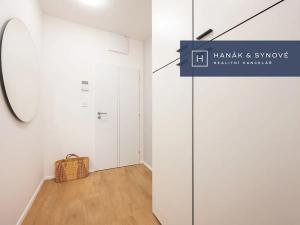 Pronájem bytu 1+kk, Brno, Cejl, 31 m2