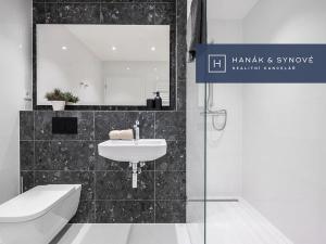 Pronájem bytu 1+kk, Brno, Cejl, 31 m2