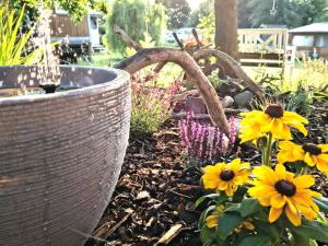 Prodej chaty, Rokle, 30 m2