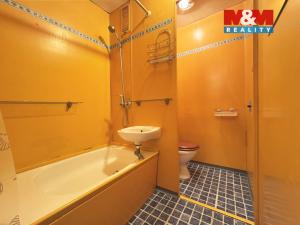 Pronájem bytu 1+kk, Karlovy Vary - Drahovice, Lidická, 22 m2