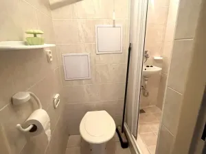 Pronájem bytu 1+kk, Olomouc, Dobnerova, 25 m2