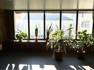 Prodej bytu 2+kk, Praha - Smíchov, Holečkova, 51 m2