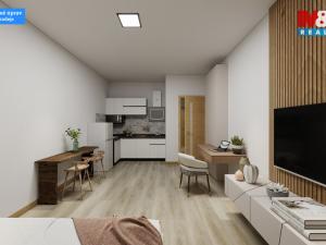 Prodej bytu 1+kk, Děčín - Děčín III-Staré Město, Žerotínova, 28 m2