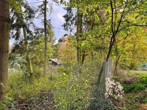 Pronájem chaty, Kamýk nad Vltavou, 50 m2