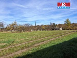Prodej pozemku pro bydlení, Hrušovany nad Jevišovkou, Litobratřická, 1184 m2