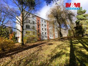 Pronájem bytu 2+1, Žďár nad Sázavou - Žďár nad Sázavou 4, Neumannova, 50 m2