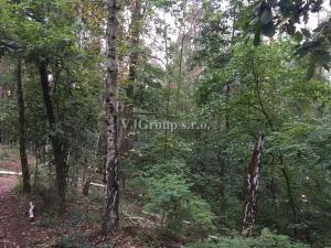 Prodej lesa, Bradlec, 4578 m2