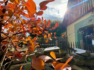 Prodej rodinného domu, Kvilda, 408 m2