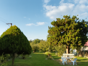 Pronájem rodinného domu, Stříbro, Tř. 5. května, 88 m2