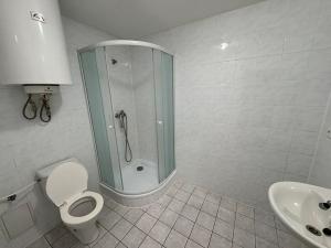 Pronájem bytu 1+kk, Jeseník, Masarykovo nám., 30 m2