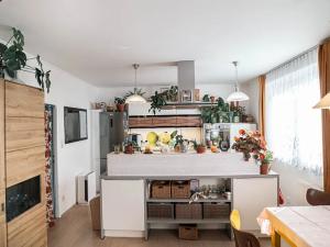 Prodej bytu 2+1, Brno, Farní, 66 m2