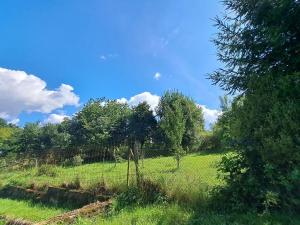 Prodej zemědělské usedlosti, Bratřejov, 200 m2