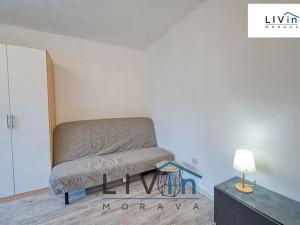 Pronájem bytu 1+1, Olomouc, Starodružiníků, 28 m2