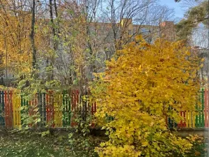 Prodej bytu 3+1, Praha - Břevnov, Nad alejí, 76 m2