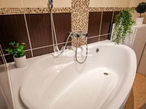 Pronájem bytu 2+1, Meziboří, Nad parkem, 61 m2