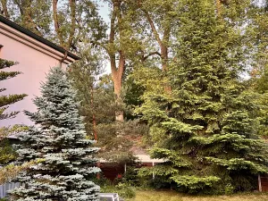 Pronájem vily, Statenice, 180 m2