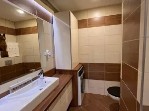 Prodej bytu 2+1, Karlovy Vary, Maďarská, 61 m2