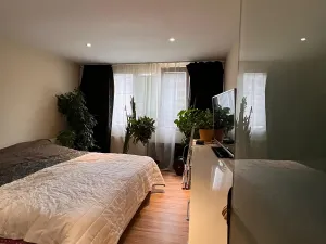 Prodej bytu 2+1, Karlovy Vary, Maďarská, 61 m2