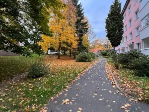 Prodej bytu 2+1, Karlovy Vary, Maďarská, 61 m2