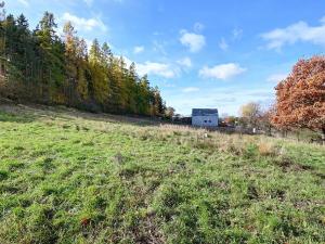 Prodej pozemku pro bydlení, Daleké Dušníky, 1217 m2