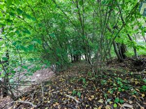 Prodej rodinného domu, Mutěnín, 75 m2