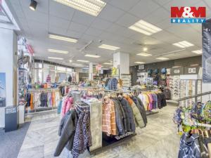 Pronájem obchodního prostoru, Plzeň - Vnitřní Město, Zbrojnická, 456 m2