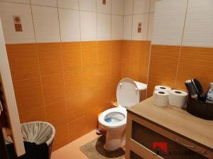 Prodej bytu 2+1, Klášterec nad Ohří, Družstevní, 62 m2