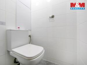 Pronájem bytu 2+1, Domažlice - Týnské Předměstí, Mánesova, 61 m2