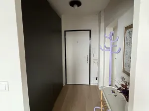 Prodej bytu 2+kk, Praha - Vršovice, Moskevská, 53 m2