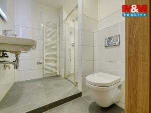 Pronájem bytu 2+1, Cheb, Družstevní, 64 m2